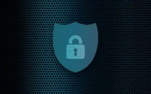 Cybersecurity privacy icon illustration