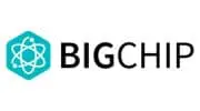 Bigchip logo